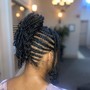 Individual Braids