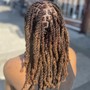 Starter Locs