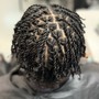 Starter Locs (2 strand twists)