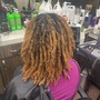 Root Touch Up