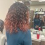 Root Touch Up