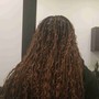 Medium long Butterfly braids