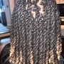 Two Strand Twists