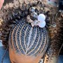 Fulani Braids/knotless