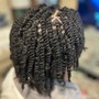 Twists/Braids/Comb Coils**