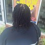 Loc Retwist