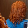 Starter Locs/Two strand twists