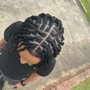 Starter Locs