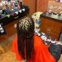 Box Braids starting at