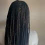 Medium Box Braids