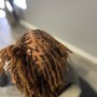 Kid's Starter locs