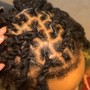 Individual Braids