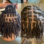 Starter Locs