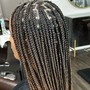 Medium Box Braids