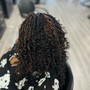 Root Touch Up