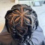 Traditional Starter Locs