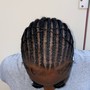 Starter Locs