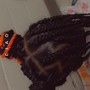 Starter Locs