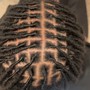 Loc Extensions/. Reattachment 100-120 locs