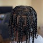 Starter Locs