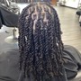 Loc Re-twist & style