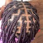 Starter Locs