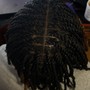 Starter locs