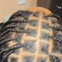 Individual Braids