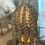 Basic shampoo+Retwist +2 strands or Plaits