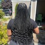 Medium Senegalese Twist