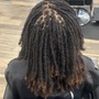 Loc Maintenance (interlock add-on) for plentiful locs