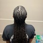 Kids FEED IN Knotless Braids