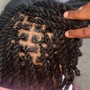 Loc Coils