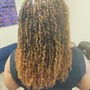 Root Touch Up