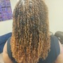 Mini Twist with extensions