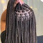 Individual Braids