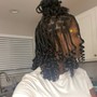 Starter Locs