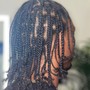 Large/Jumbo Two Strand Twist (w/ extensions)