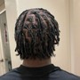 October Special Starter Locs (Small, Medium, Large)