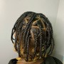 Box Braids (No extentions)