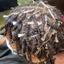 Starter Locs