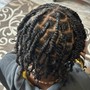 Two strand starter locs