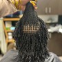 Root Touch Up