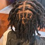 Starter Locs