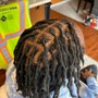 Starter Locs