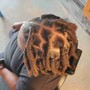 Starter Locs