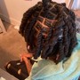 Medium starter locs