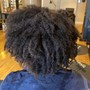 Root Touch Up