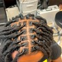 Kid's Starter Locs