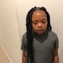 Kid's Braided Ponytail